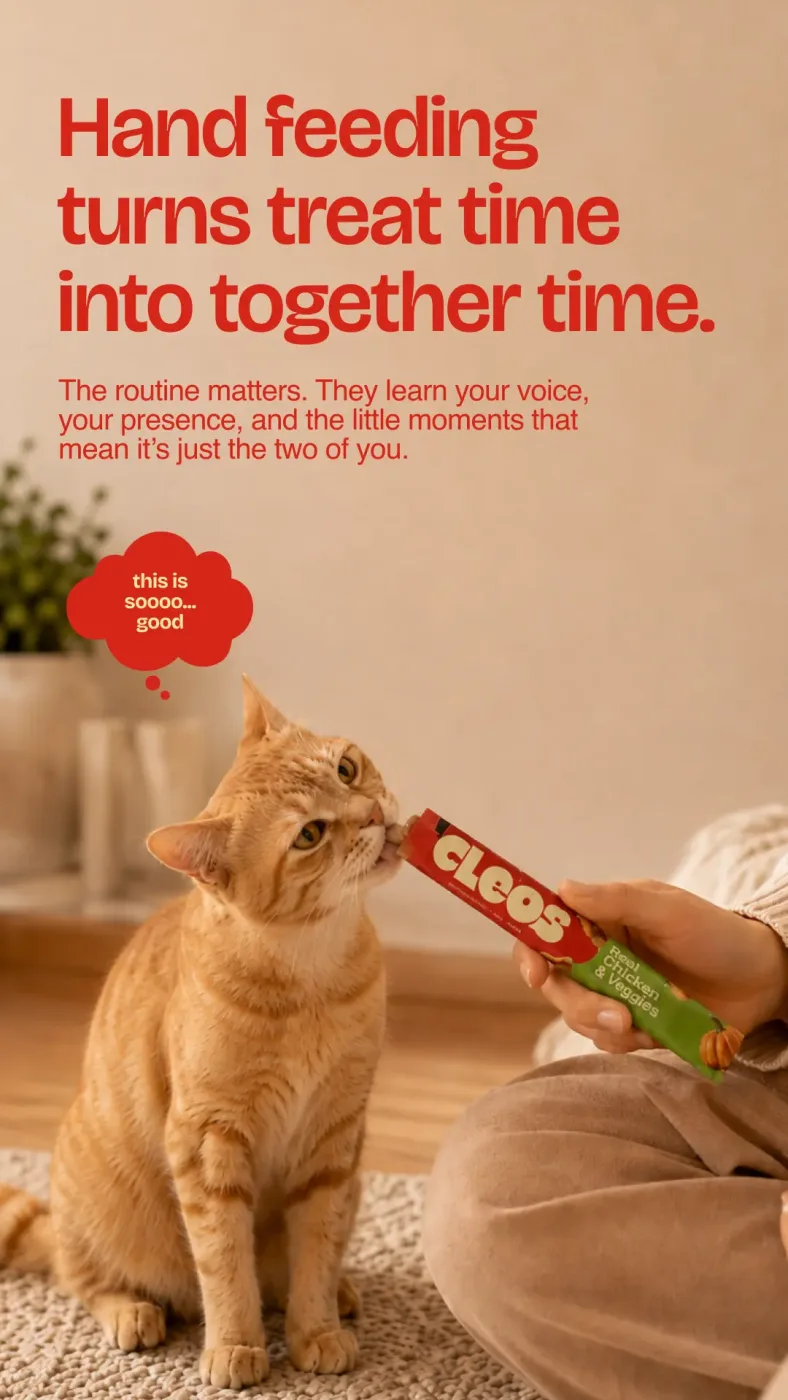 An orange cat licking a Cleos Real Chicken & Veggies treat straight from the tube held in its person's hand