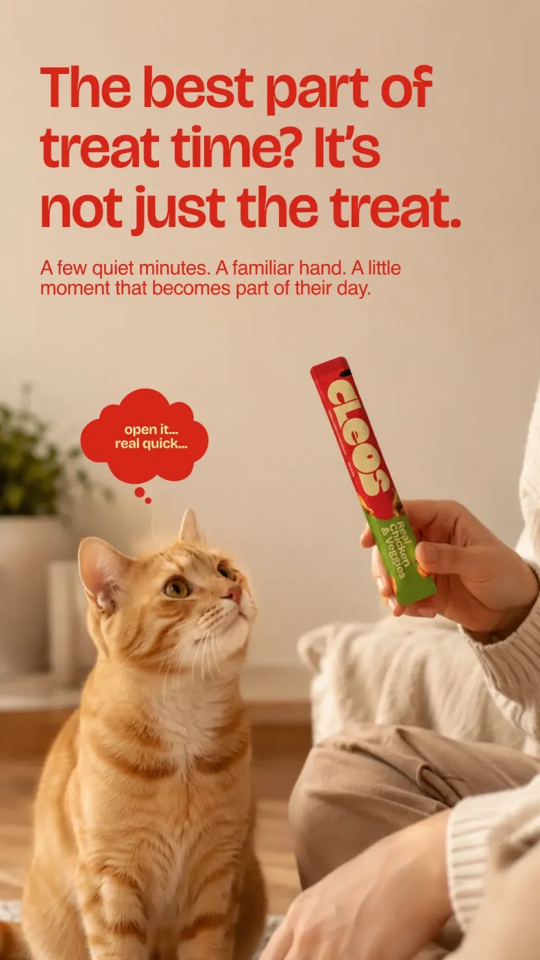 An orange cat waiting beside its person, eyes locked on an unopened Cleos Real Chicken & Veggies tube
