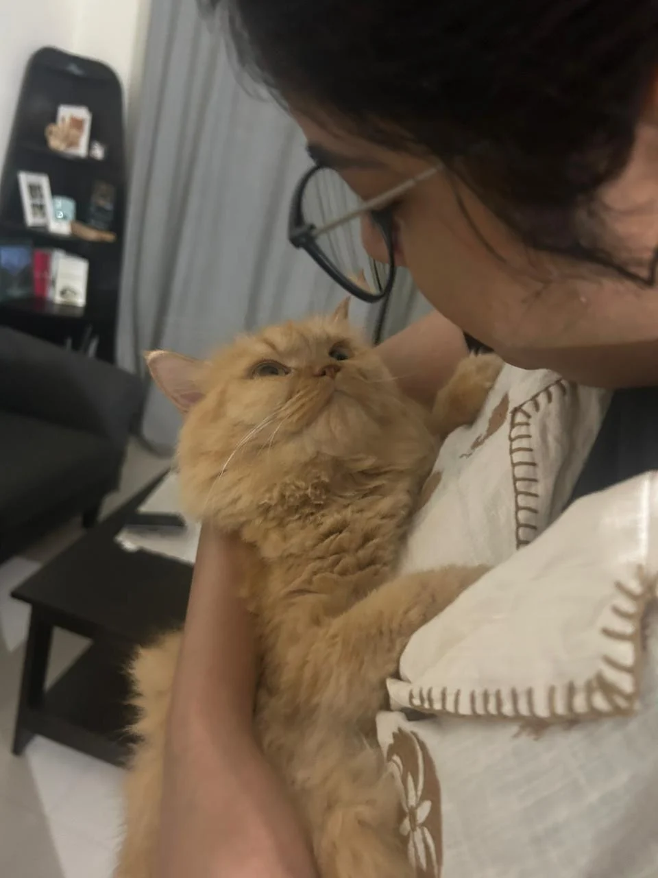 Cleo looking up while being held by a cat parent