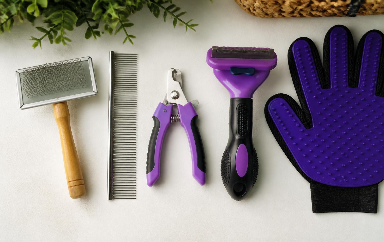 A set of cat grooming tools including a slicker brush and comb
